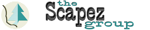 The Scapez Group: web site design and creation, logos, graphics, and hosting